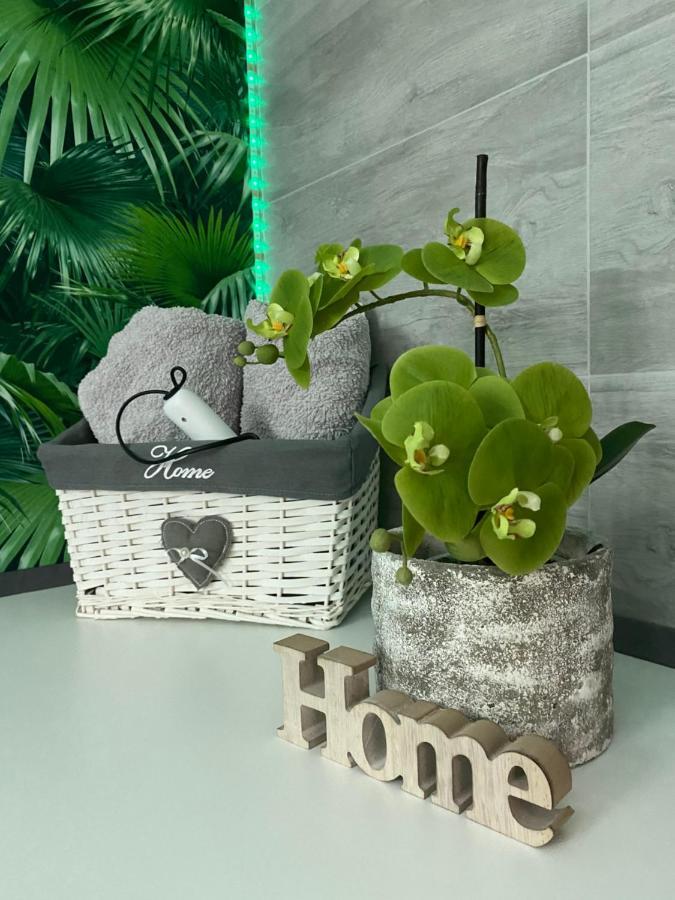 Ferienwohnung Erfurter Rose Luaran gambar